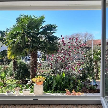 Apartments Summer Bloom クルク エクステリア 写真