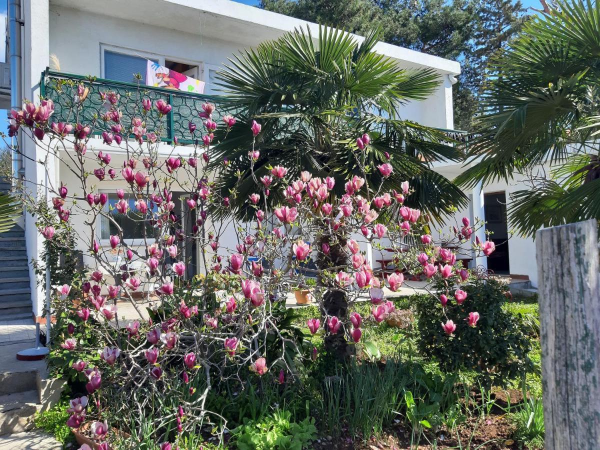 Apartments Summer Bloom クルク エクステリア 写真